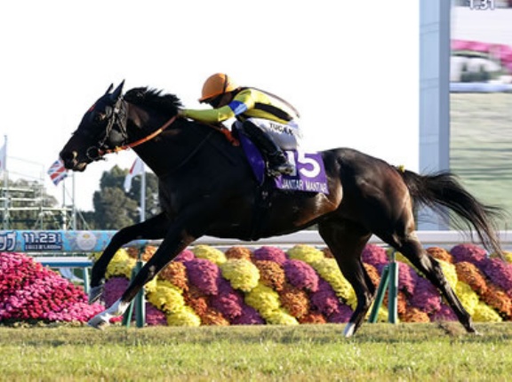 最優秀マイラーのジャンタルマンタルはドバイターフに登録