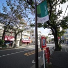 『新製品：LAOWA11mmF4.5試写③～千川通り　2020/12/03』の画像