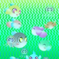 小さな魚の周りには・・・