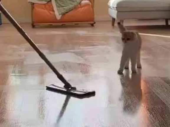 【これはヤバイ】 男が床をモップがけしていた。いつもより何度も拭いてしまう！ → なぜならば…