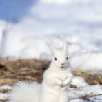 東三河写真倶楽部