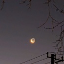 流行病と銀の月