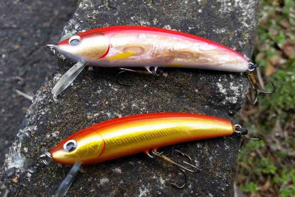 ORA Minnow Serendipity