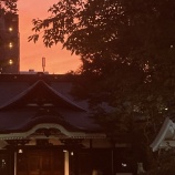 『着ぐるみと商店街の条件　vol.4175』の画像