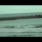 みちのく波乗り道