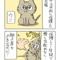 家庭内野良猫の進化