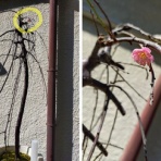 バドミントンクラブ★ミルキーズ