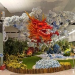 ハノイでまったり生きてます(ΦωΦ)