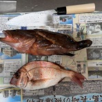 腕時計と日常