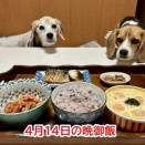平和だったらしい4日間