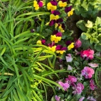 神崎みどり  OFFICIAL  BLOG