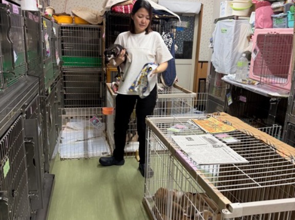 今夜もお疲れ様でした💓🐶💓