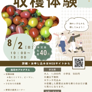 山田とことこ日記