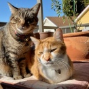 （6177）日曜日のあれこれ。