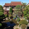 庭の剪定　
