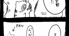猫違い