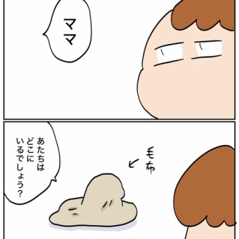 毛布