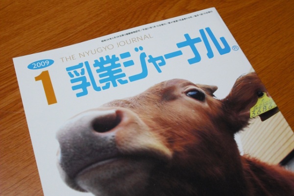 ソニーエンジェル cow style 牛 牛乳パック　2009 ソニーエンジェル cow style 牛 牛乳パック 2009の通販はau PAY