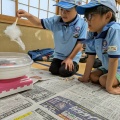 BVS隊　ビー玉ゲームづくり
