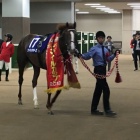 『阪神カップ2024　予想見解』の画像