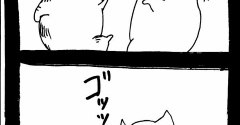 猫極拳