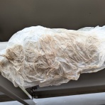 季節のアルバム