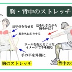 きんにく様の言うとおり