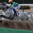 タイキフロリゼル（26/01/24・4R・小倉競馬場）