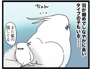 【また髪の話してる…】オカメちゃんの妙なトサカ