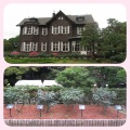 旧古河庭園