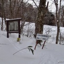 山行記録350　箕輪山バックカントリー　2026.2.8（日）