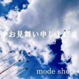 『暑中お見舞い申しあげます』の画像