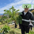 不登校365日24時間　フリースクール元気学園 ブログ