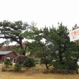『相川-40 隊員的空き家レポ お土産屋さんをやる?釣りをやる?・・・それとも?』の画像