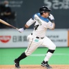 日ハムビヤヌエバとはなんだったのか