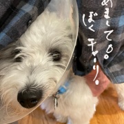 ̼�����ۤ��ơ�����