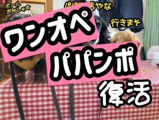 パパ復活の日。