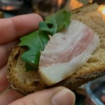 銃🐈‍⬛猫たちと家族の記録