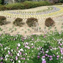 帰路は途中下車で離島。【のこのしまアイランドパーク】