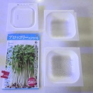 キッチンの片隅で生活習慣病を改善したい/立派な頂き物