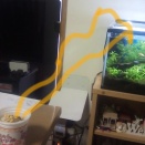 お腹すいたきーちゃん