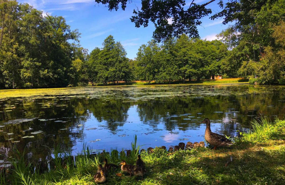 スウェーデン人少女のストライキから始まった世界ムーブメント Stockholm Log