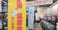 昨日は秘密結社ねこのひげ譲渡会♪