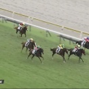 【競馬】新潟5R新馬戦グランアレグリアの初子　グランマエストロは単勝1.7倍の断然人気も8着