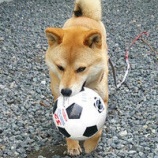 『お～れ～!!』の画像