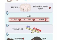 ワンピースの六式とかいう黒歴史ｗｗｗｗｗｗｗｗｗｗｗｗｗｗｗｗｗ なんjクエスト