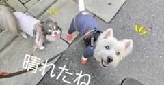 やっと晴れた！！