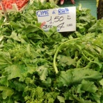 飲食経験40年のblog