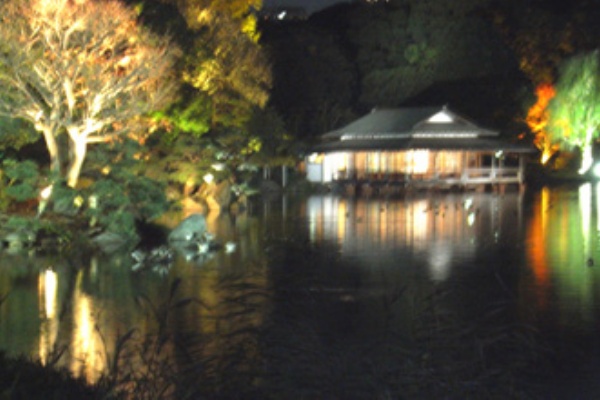 夜の清澄庭園 週末雑貨屋のカウンターから