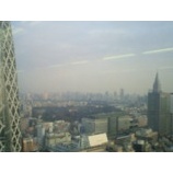 『薄曇りの東京』の画像
